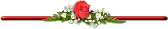proverbes conseils bntpal_1444979572_30