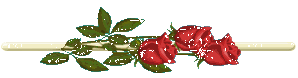 bntpal_1445023349_24