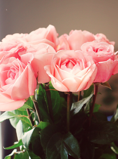   ګ 💝ಥ⌣ಥ bntpal_1445066341_83