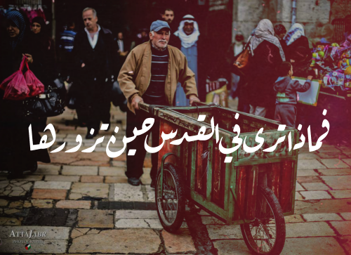 bntpal_1445103598_78