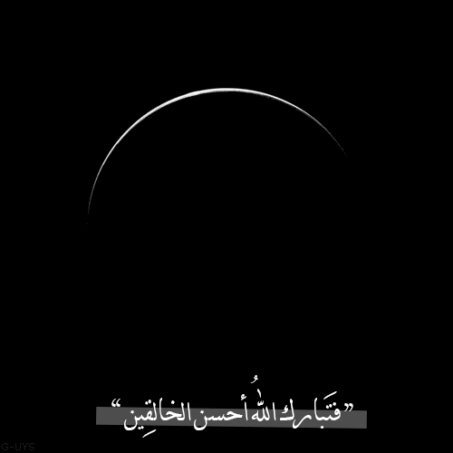  bntpal_1445113836_24