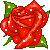 bntpal_1445186903_99
