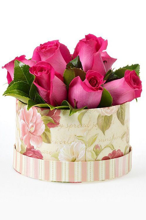 bntpal_1445284407_24
