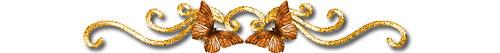  bntpal_1445418549_17