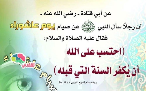  bntpal_1445479795_53