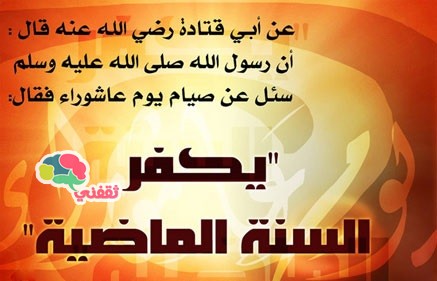  bntpal_1445479795_55