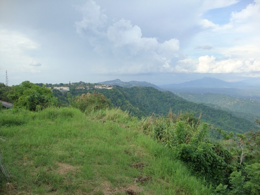   bntpal_1445627480_64