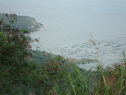   bntpal_1445627481_19