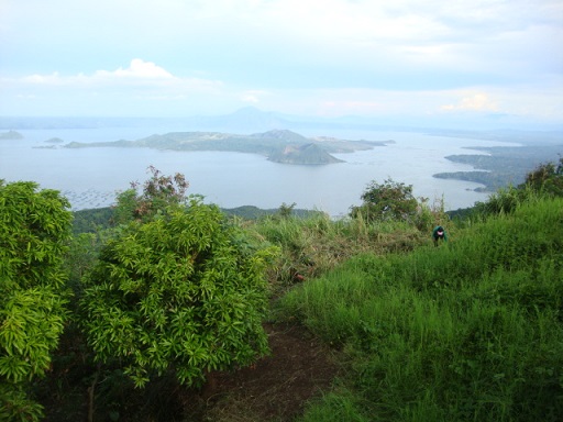   bntpal_1445627481_25