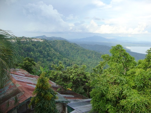   bntpal_1445627481_67