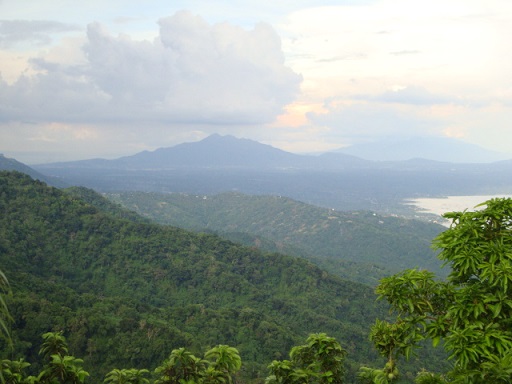   bntpal_1445627481_95