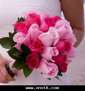 bntpal_1445772871_18