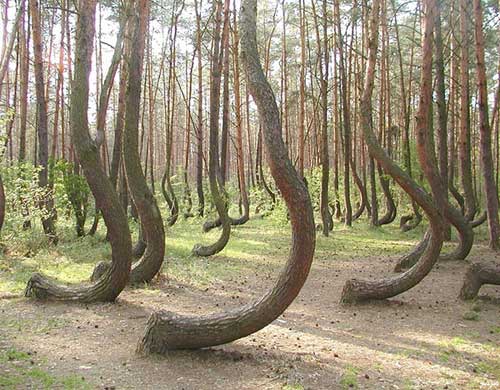 bntpal_1445839593_10
