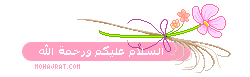   bntpal_1445949669_23
