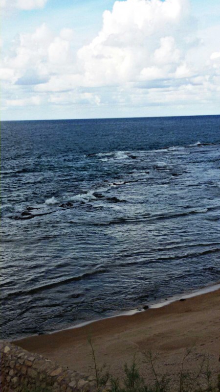 "   ". ♥. bntpal_1445953486_27