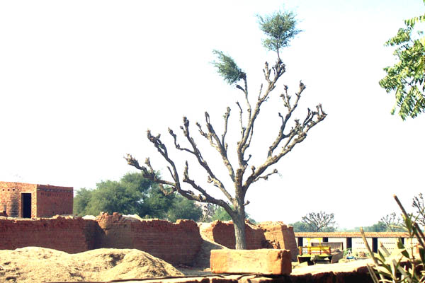 Inde bntpal_1445957528_37