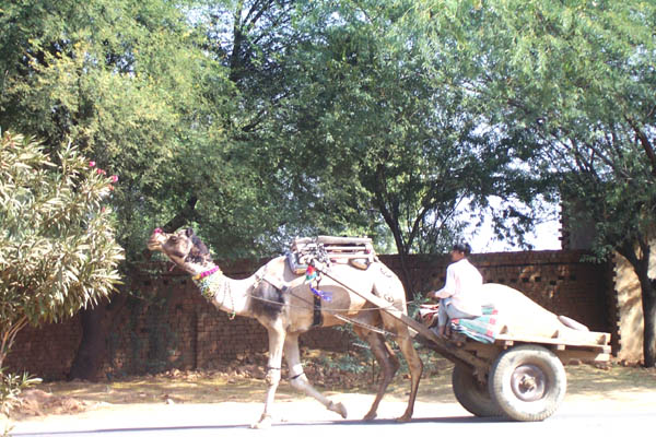 Inde bntpal_1445957532_51