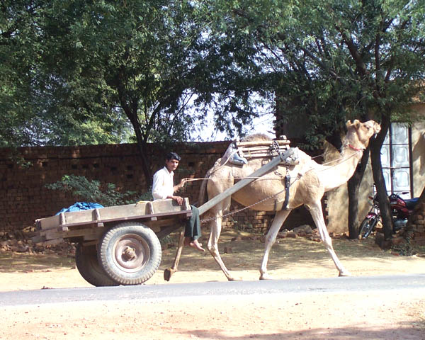 Inde bntpal_1445957533_90