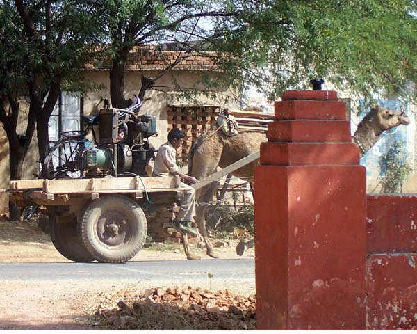 Inde bntpal_1445957534_45