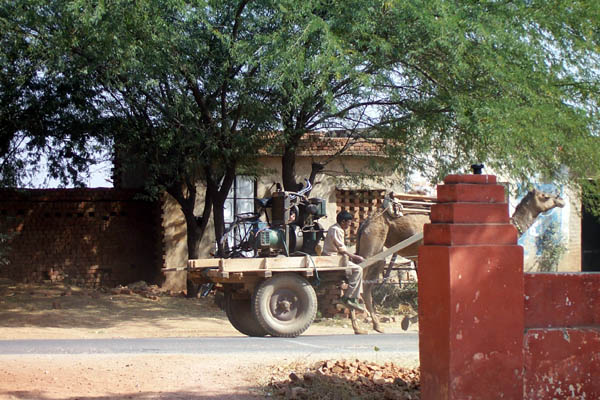 Inde bntpal_1445957536_18