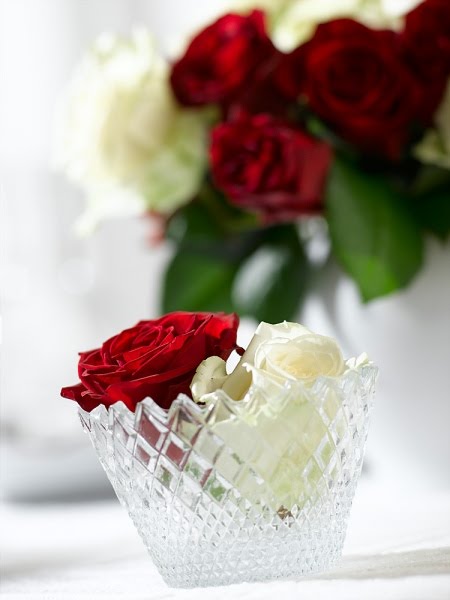 bntpal_1445958618_34