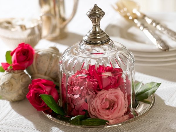 bntpal_1445958620_47
