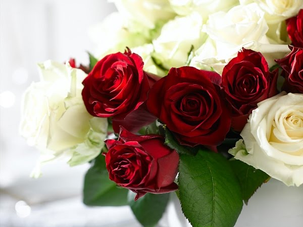 bntpal_1445958627_88
