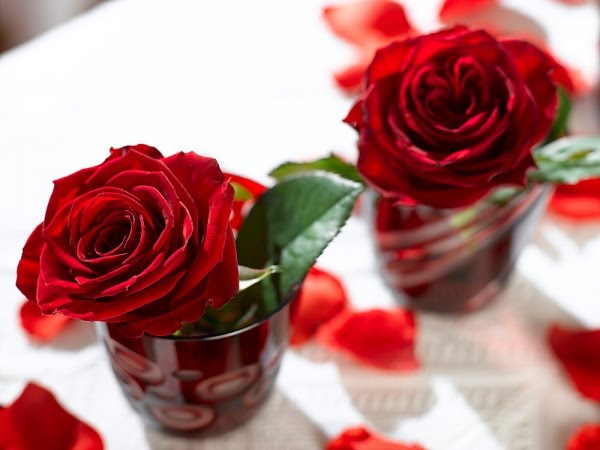 bntpal_1445958631_48