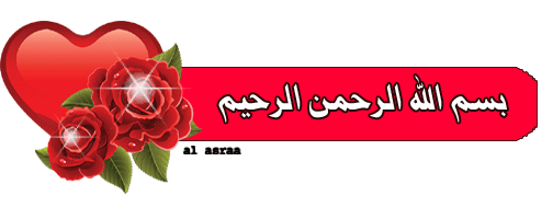 bntpal_1445970126_19
