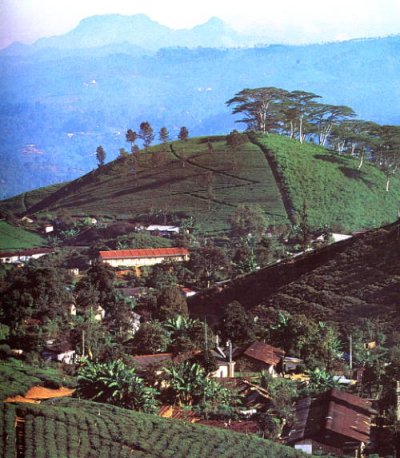 Lanka bntpal_1446012114_57