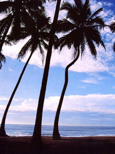 Lanka bntpal_1446012120_78