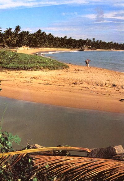 Lanka bntpal_1446012135_42