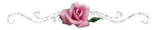 bntpal_1446029333_94