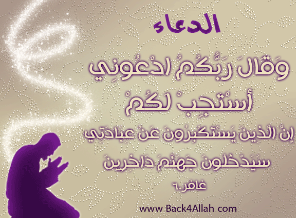bntpal_1446039420_72