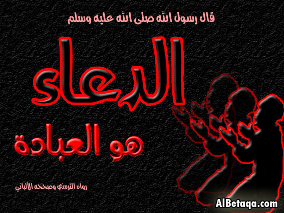 bntpal_1446039421_32