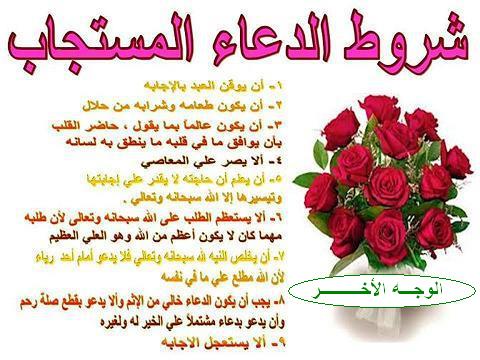 bntpal_1446039421_59