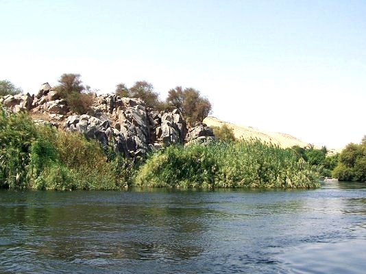 bntpal_1446181581_11