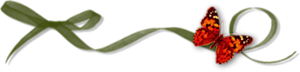 bntpal_1446182707_10