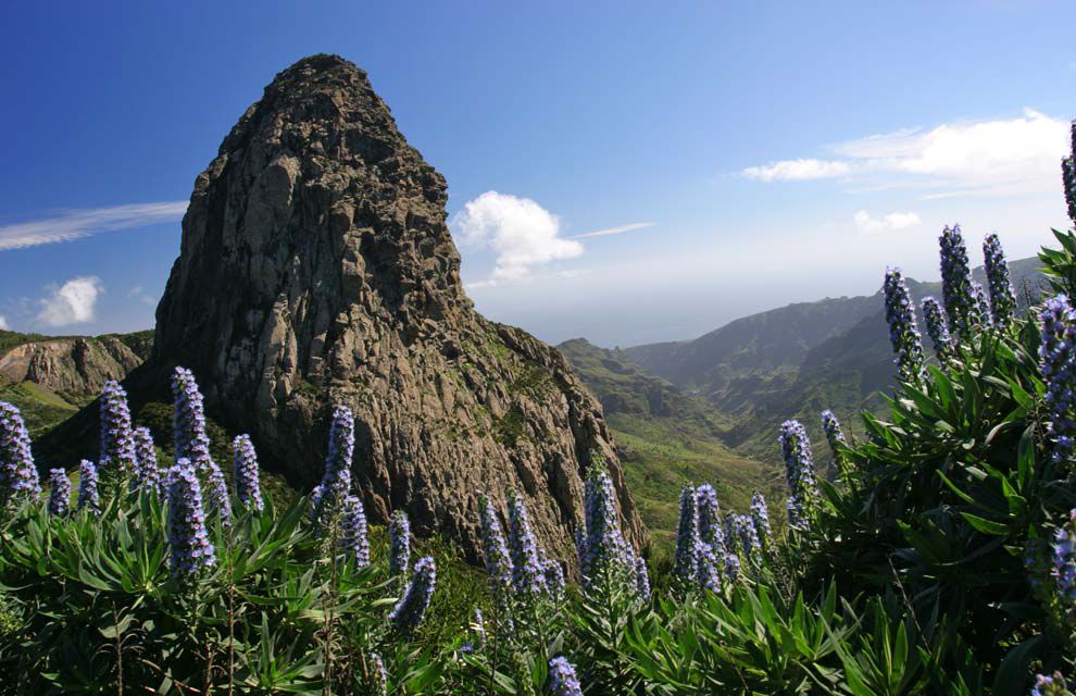  bntpal_1446189109_89
