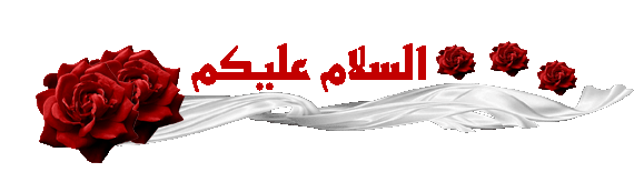  bntpal_1446276075_81