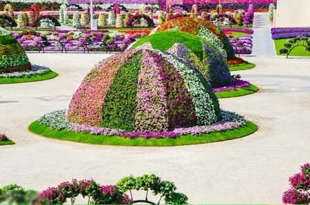  bntpal_1446359954_67