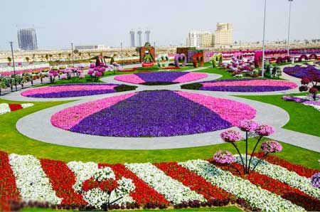  bntpal_1446359954_72