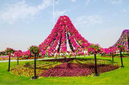  bntpal_1446359955_65