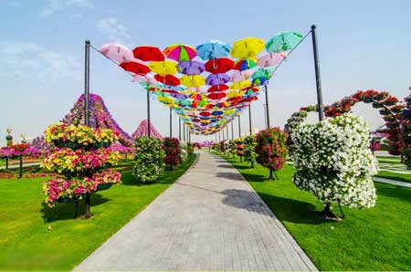  bntpal_1446359955_99
