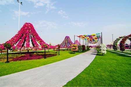 bntpal_1446359958_69