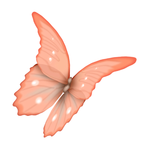  bntpal_1446363658_76