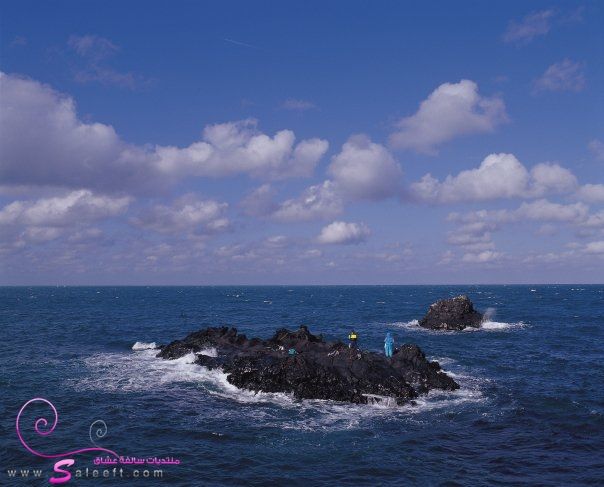  bntpal_1446386702_19