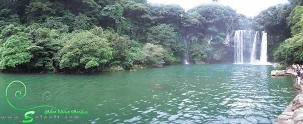  bntpal_1446386704_25