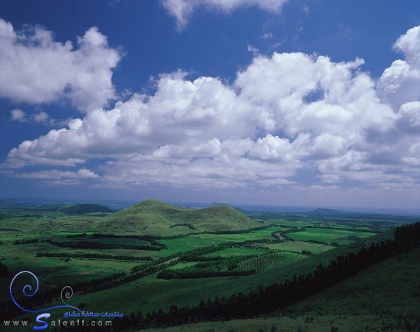  bntpal_1446386709_39