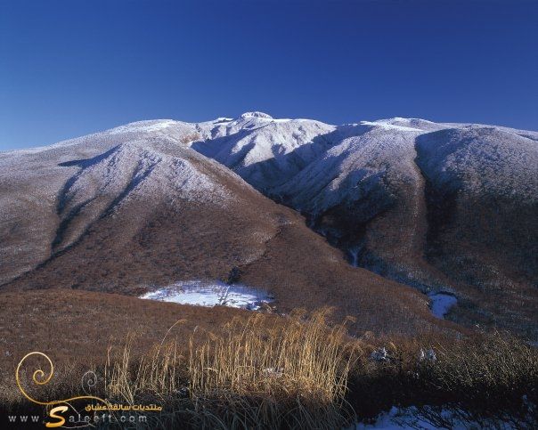  bntpal_1446386711_91